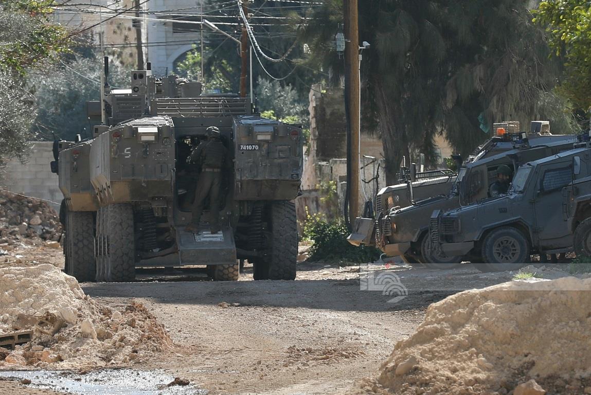 تصوير - محمد منصور/وفا